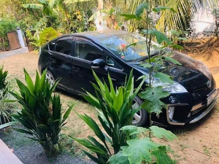 Nature Villa Tangalle Luaran gambar